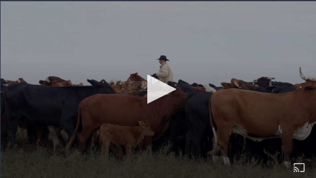 Regenerative Ranching Video